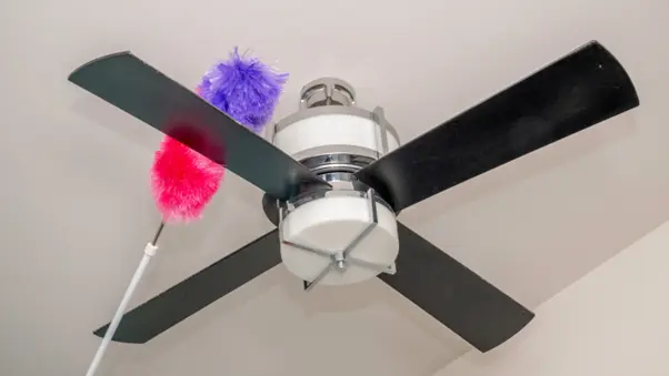 An image of cleaning a ceiling fan with a long-handled duster.