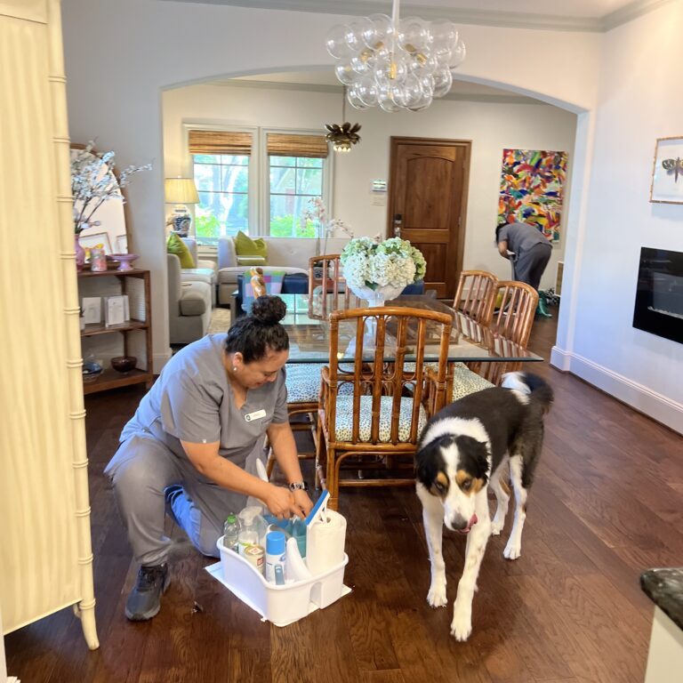 This image has an empty alt attribute; its file name is eco-friendly-cleaning-solutions-768x1024.jpg